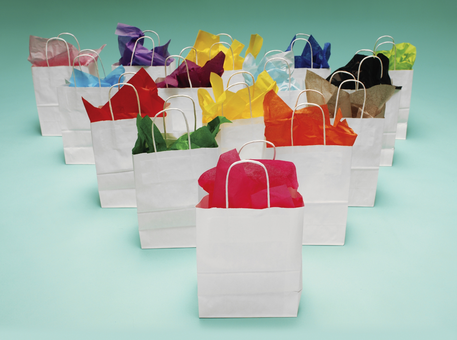 Shopping Bags